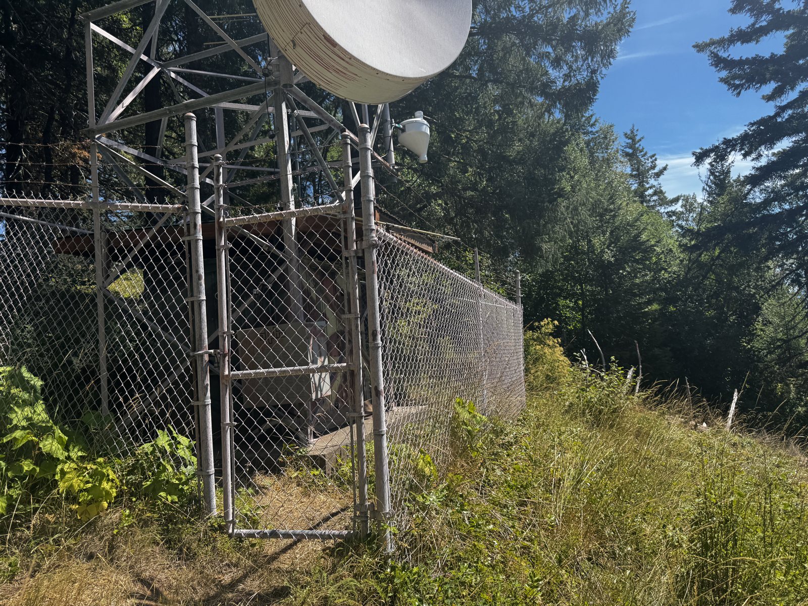The existing tower compound and microwave dish on Dead Mountain near Westfir, Oregon