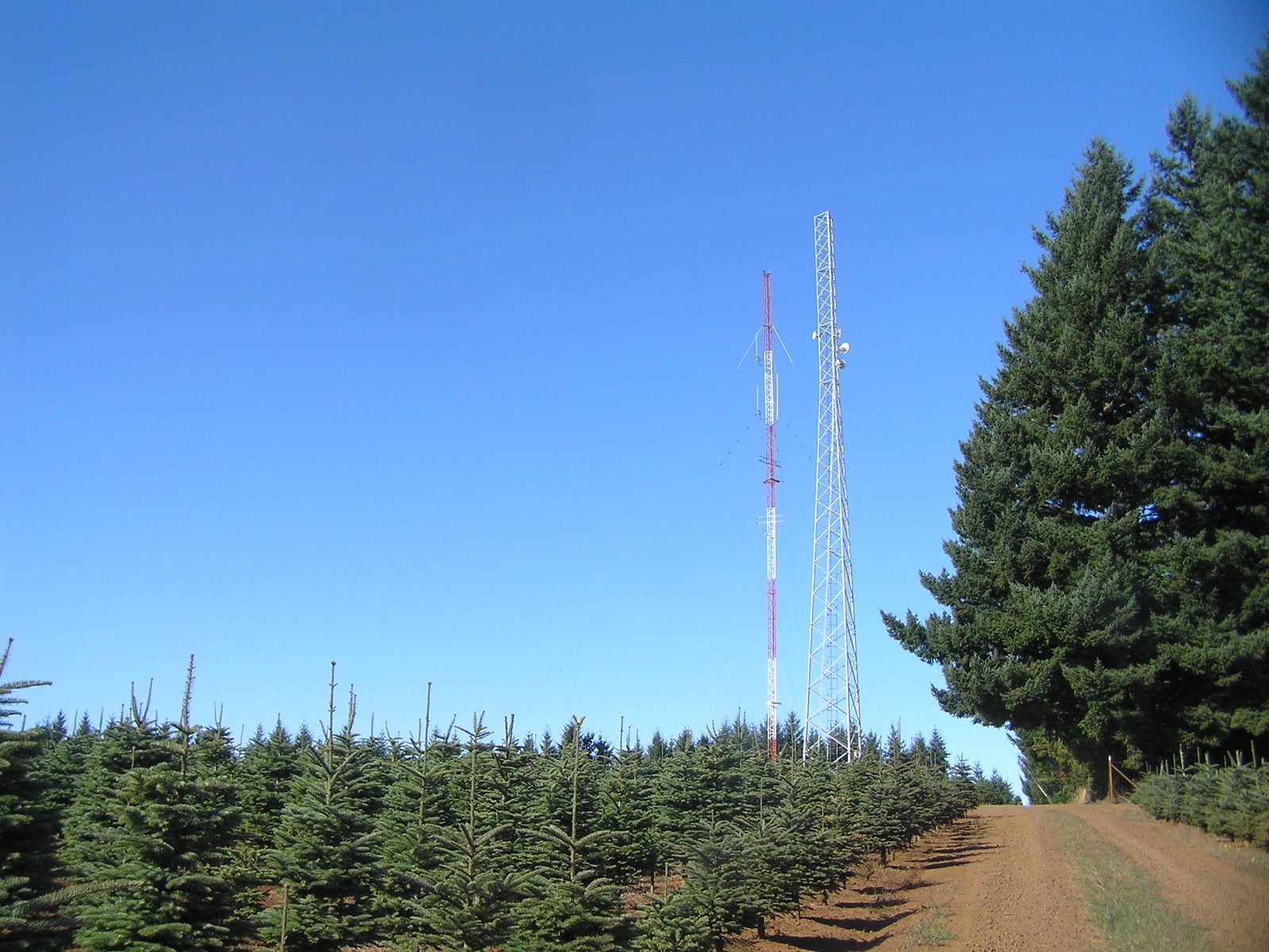 Old guyed tower and new self-supporting tower standing side by side on Bald Hill near West Salem