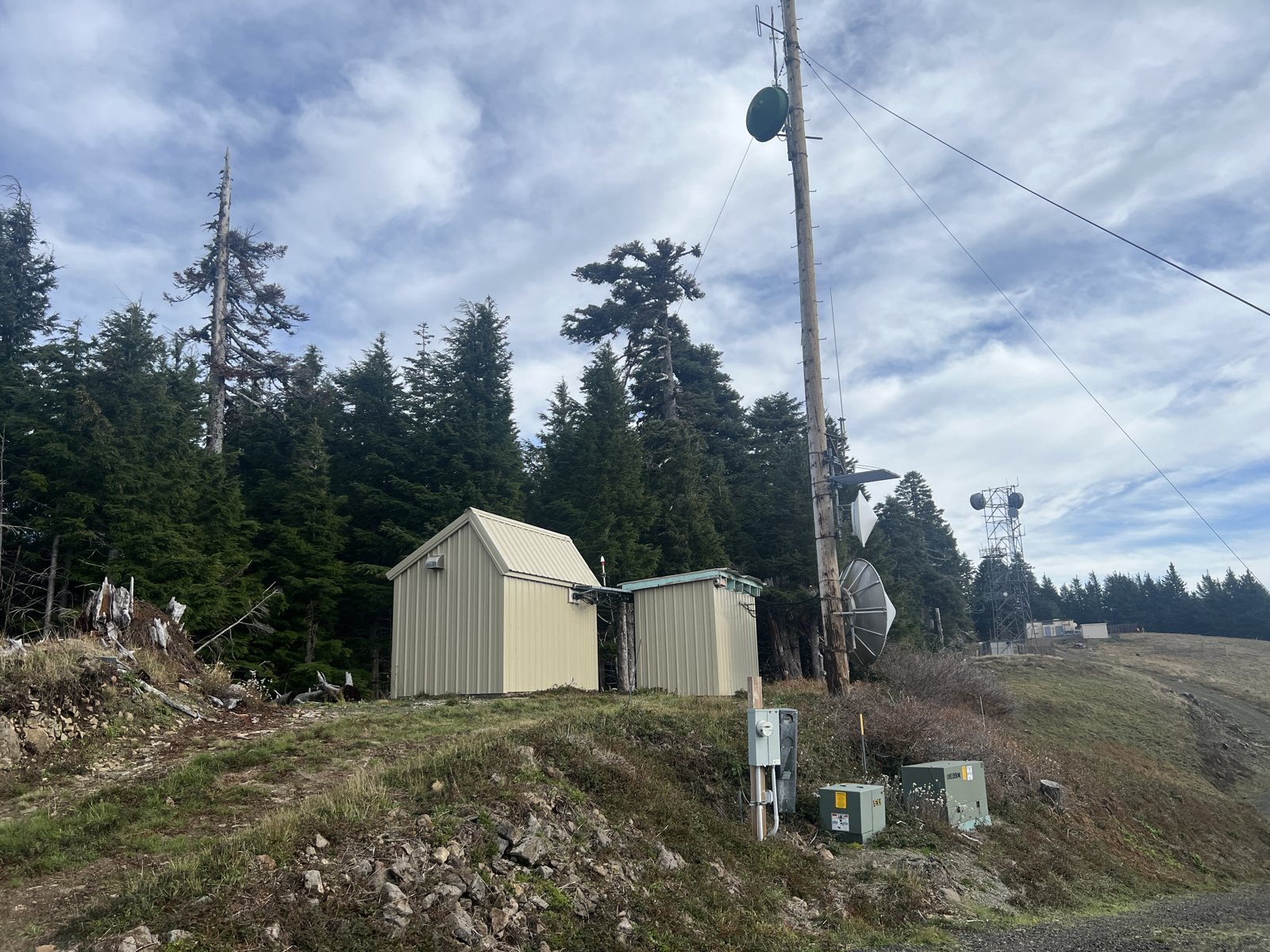 Wood antenna pole with dishes beside two small equipment shelters on the Marys Peak ridgetop