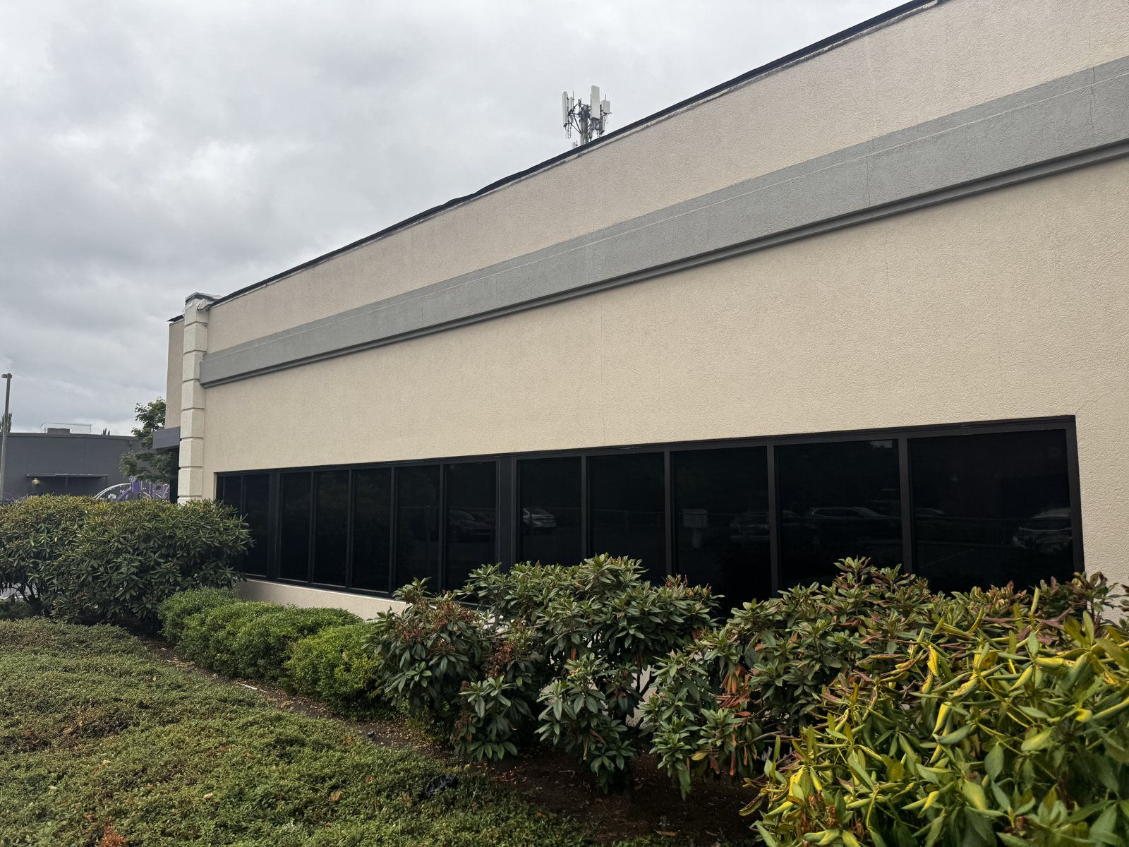 Long side of a one-story tan office building with a band of dark windows above landscaped shrubs, Eugene